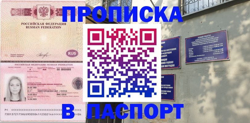 прописка в Волосово